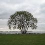 Lake Erie Metropark