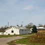 Friesian Horse Farm