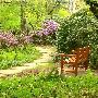 Dow Gardens
