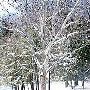 Branstrom Park