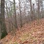 Bald Mountain State Park