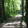 Bald Mountain State Park