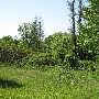 Bald Mountain State Park