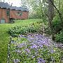 Utica Home