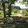 Aarwoodstock