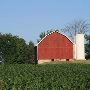 Kathleen's Remus Farm