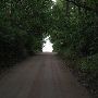Buckhorn Lake Rd.