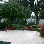 Sue's Madison Heights Ranch Home