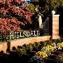Hillsdale College