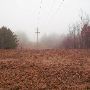 Gaylord Property 155 Acres