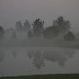 Rural Home 10 acres with pond