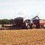 Bartle farms