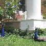 Debra's Plymouth Residence