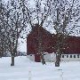 Snowy country scenes