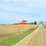 Shirley's Farm