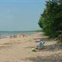 Brimley State Park
