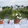 Old Shore Vineyards