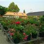 Goldner Walsh Nursery, Inc.