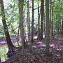 Genesee County Parks - For-Mar Nature Preserve