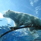 Detroit Zoo
