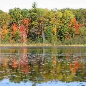 Loda Lake Wildflower Sanctuary