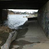 Rouge River