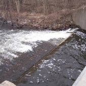 Ford Dam