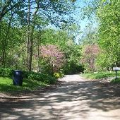 Ann Arbor Hilly Roads