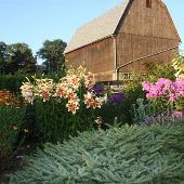 Misty Farm