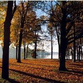 Baw Beese Lake