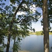 Walter Hayes State Park