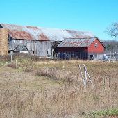 Presque Isle County Farms