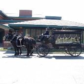 Michigan Memorial Park