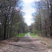 Fort Custer Recreation Area