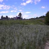 Arthur E. Sytek Park
