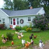 Lewis Farm Cottage