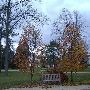 Albion College