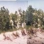 Warren Dunes State Park