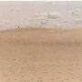 Warren Dunes State Park