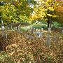 Maple Grove Cemetery