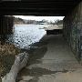 Rouge River