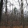 Bald Mountain State Park