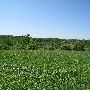 Bald Mountain State Park