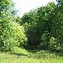 Bald Mountain State Park