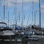 Windmill Pointe Park/Marina