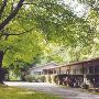 The White Rabbit Inn B&B