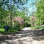 Ann Arbor Hilly Roads