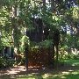 Elizabeth's Kalamazoo Home