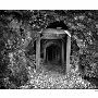 Adventure Mine
