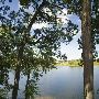 Walter Hayes State Park